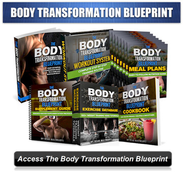 body transformation beginner