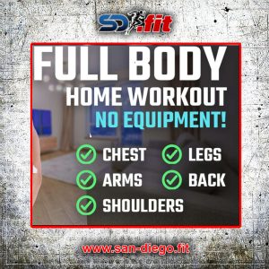 full body workout home no equipment